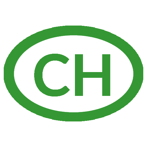 Manager auf Zeit